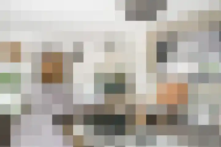 Kappertskaamp 6 Haarle thumbnail 7