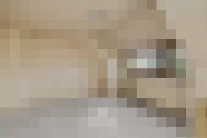 Kappeweg 10 Wijhe thumbnail 21