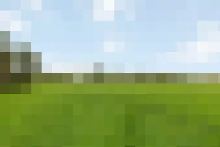 Kappeweg 10 Wijhe thumbnail 31