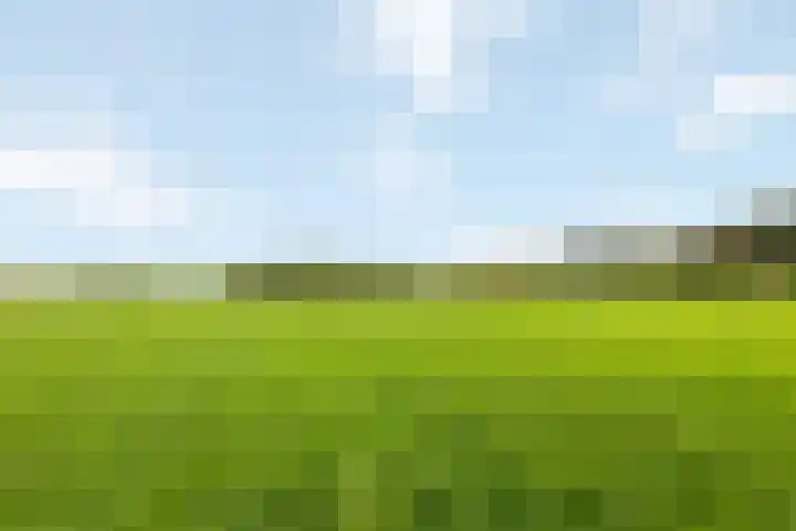 Kappeweg 10 Wijhe thumbnail 32