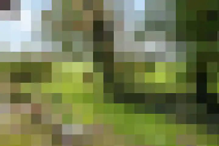 Kappeweg 10 Wijhe thumbnail 34