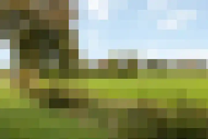 Kappeweg 10 Wijhe thumbnail 39
