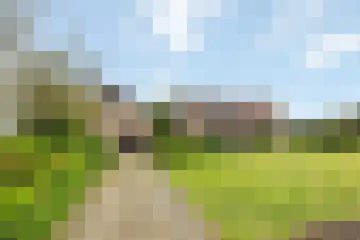 Kappeweg 10 Wijhe thumbnail 5