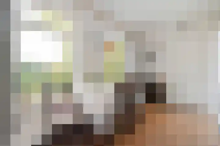 Kappeweg 14 Wijhe thumbnail 15