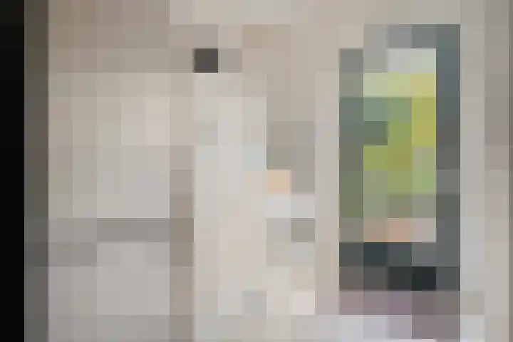 Kappeweg 14 Wijhe thumbnail 22