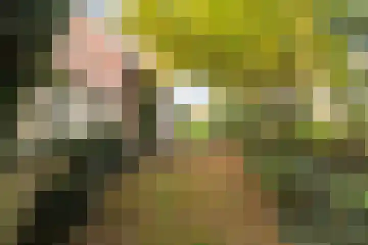 Kappeweg 14 Wijhe thumbnail 35