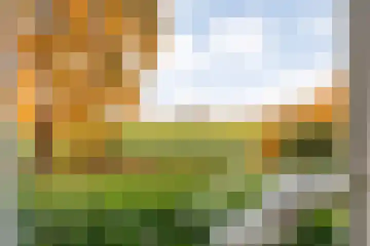 Kappeweg 14 Wijhe thumbnail 5