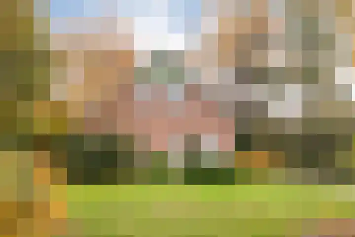 Kappeweg 14 Wijhe thumbnail 7
