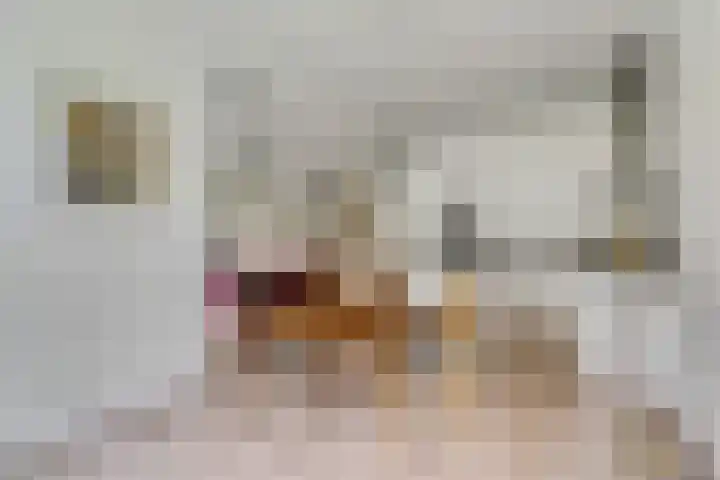 Kappeyne van de Coppellolaan 103 Amersfoort thumbnail 12