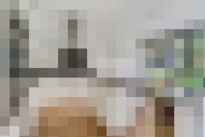 Kappeyne van de Coppellolaan 103 Amersfoort thumbnail 14