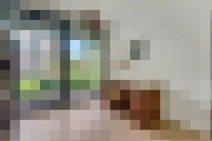 Kappeyne van de Coppellolaan 103 Amersfoort thumbnail 18