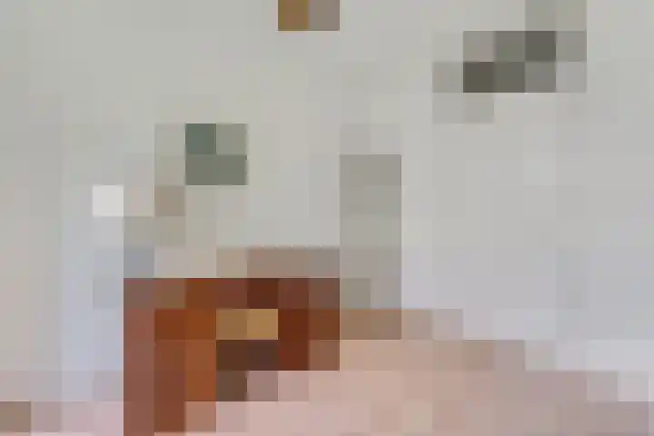 Kappeyne van de Coppellolaan 103 Amersfoort thumbnail 19
