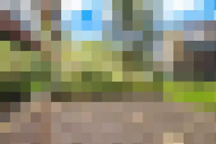 Kappeyne van de Coppellolaan 113 Amersfoort thumbnail 43
