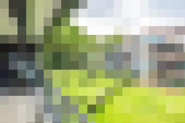 Kappeyne van de Coppellolaan 113 Amersfoort thumbnail 8