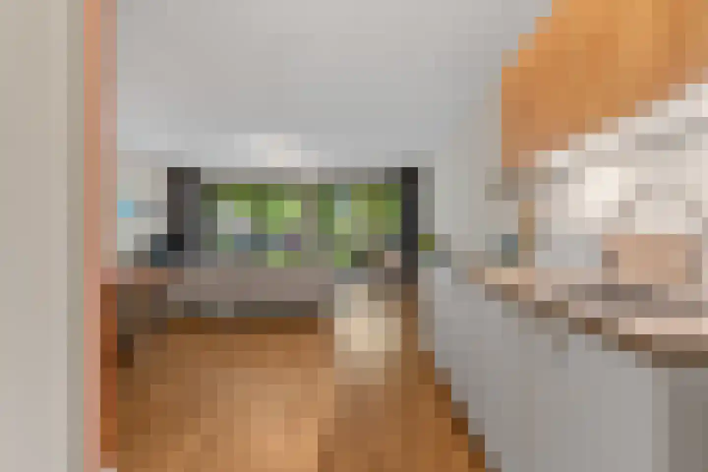 Kappeyne van de Coppellolaan 147 Amersfoort thumbnail 14