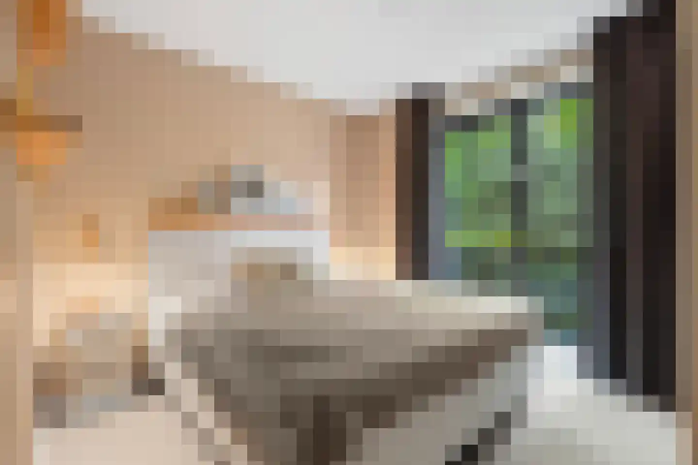 Kappeyne van de Coppellolaan 147 Amersfoort thumbnail 17