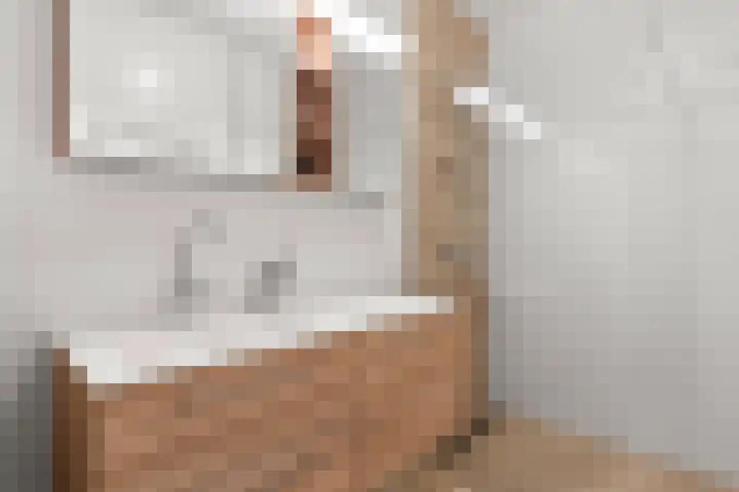 Kappeyne van de Coppellolaan 147 Amersfoort thumbnail 21