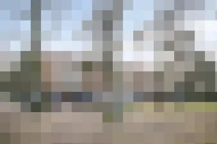 Kappeyne van de Coppellolaan 54 A Amersfoort thumbnail 18