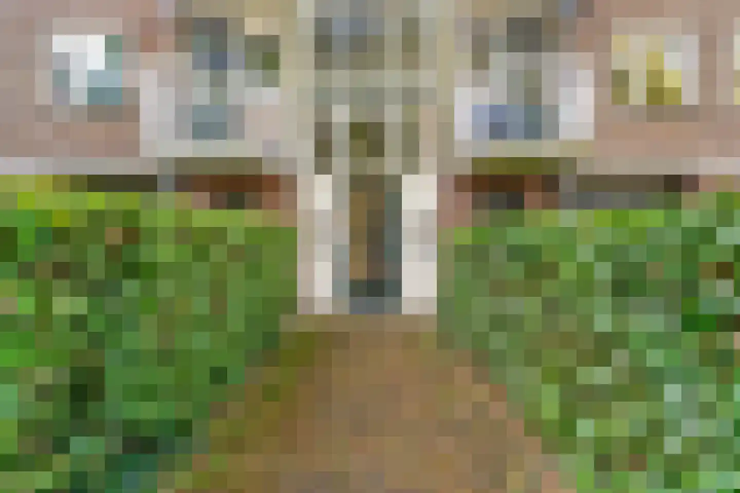 Kappeyne van de Coppellolaan 54 B Amersfoort thumbnail 5