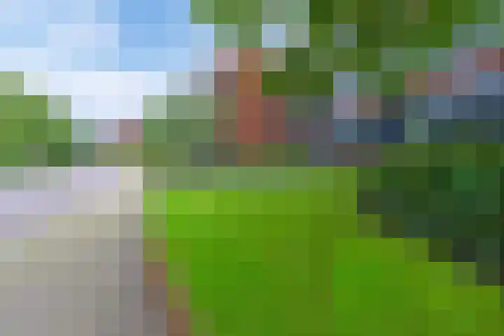 Kappeyne van de Coppellolaan 63 Amersfoort thumbnail 30