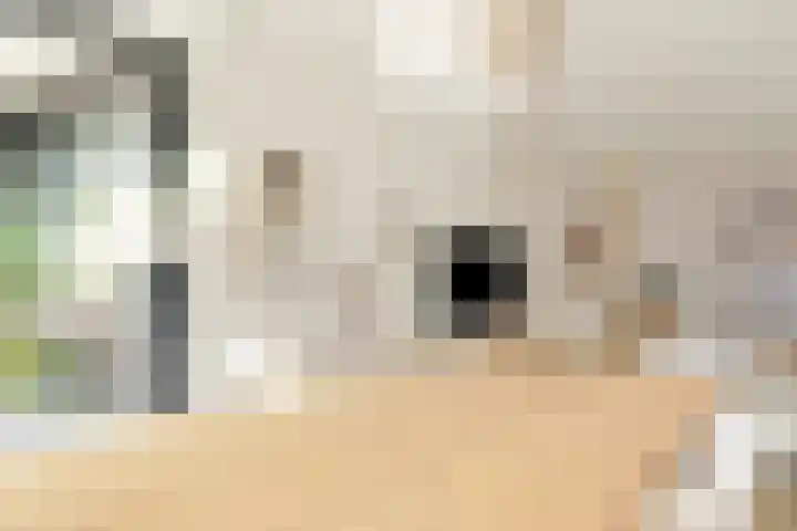 Kappeyne van de Coppellolaan 63 Amersfoort thumbnail 7