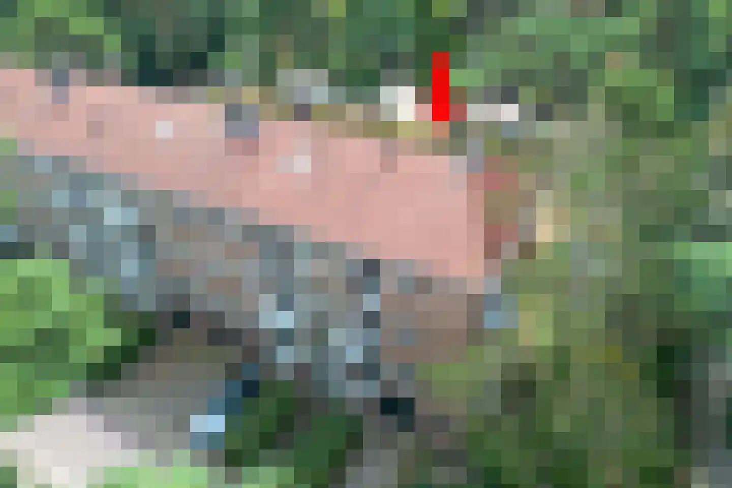 Kappeyne van de Coppellolaan 66 C Amersfoort thumbnail 32