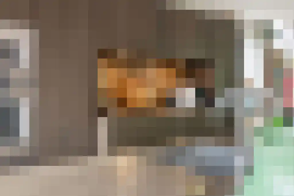 Kappeyne van de Coppellolaan 95 Amersfoort thumbnail 14