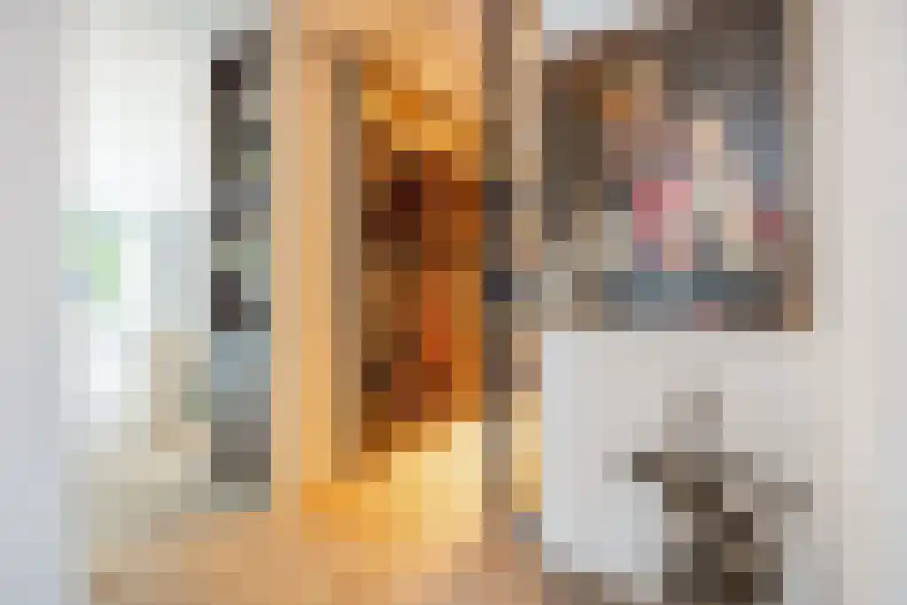 Kappeyne van de Coppellolaan 95 Amersfoort thumbnail 32