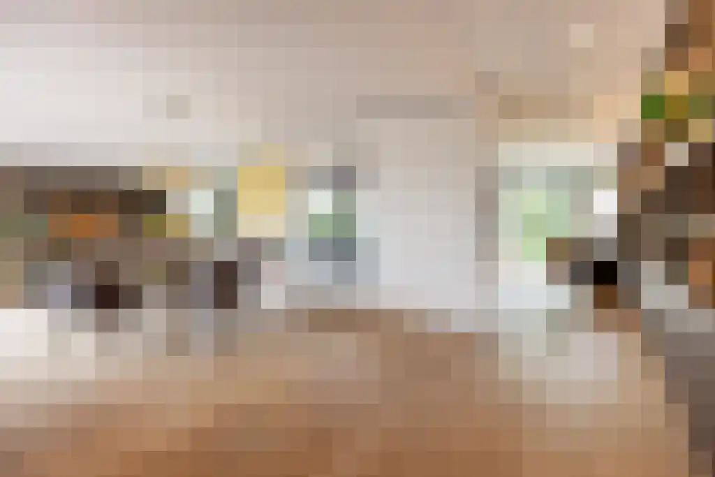 Kappeyne van de Coppellolaan 95 Amersfoort thumbnail 8