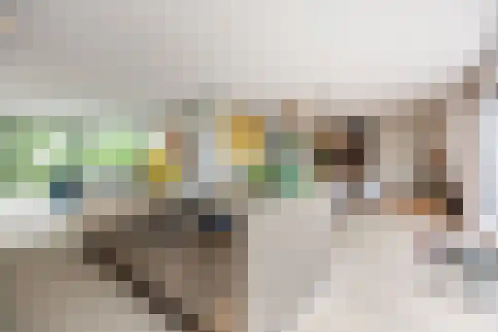 Kappeyne van de Coppellolaan 95 Amersfoort thumbnail 9