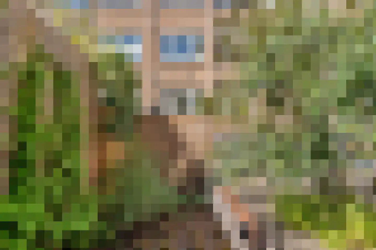 Kappeynestraat 3 B Rotterdam thumbnail 25
