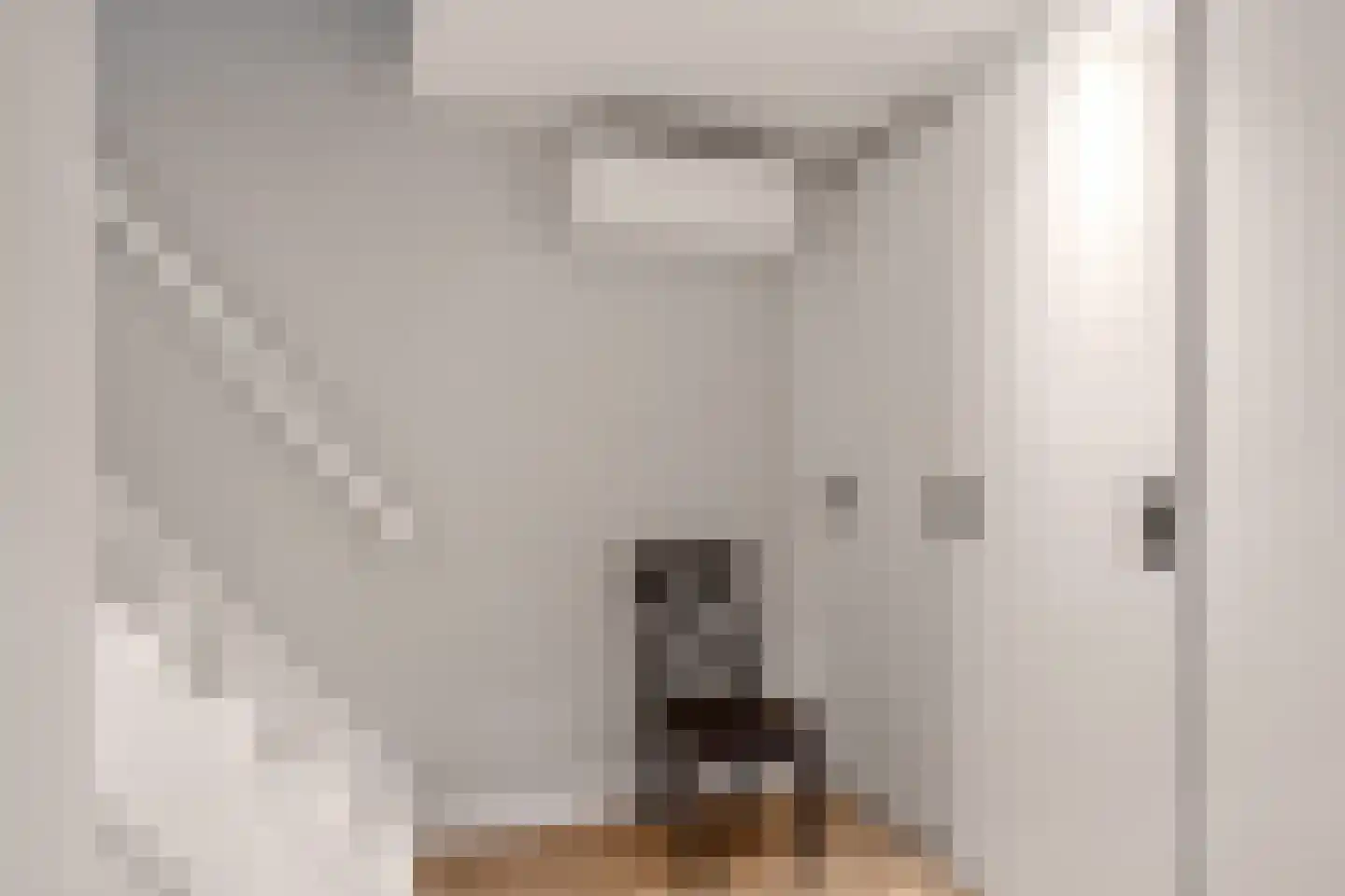 Kappeynestraat 3 B Rotterdam thumbnail 34