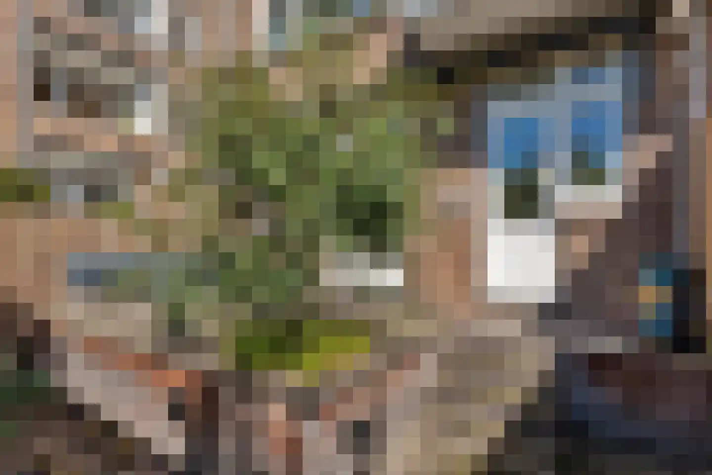 Kappeynestraat 3 B Rotterdam thumbnail 38