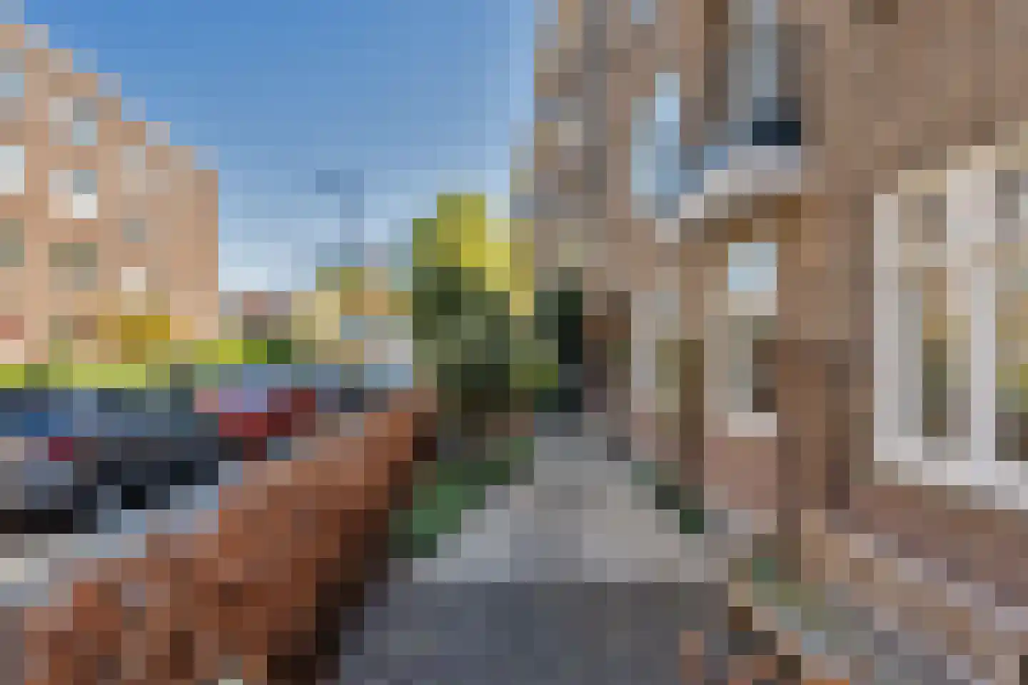 Kappeynestraat 3 B Rotterdam thumbnail 42