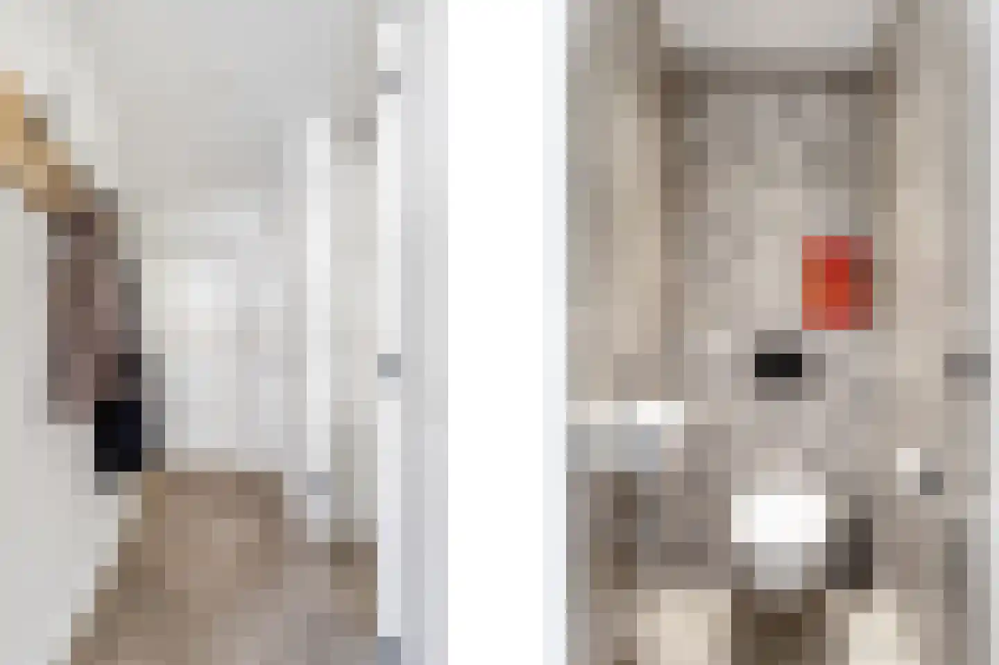 Kappeynestraat 3 B Rotterdam thumbnail 6