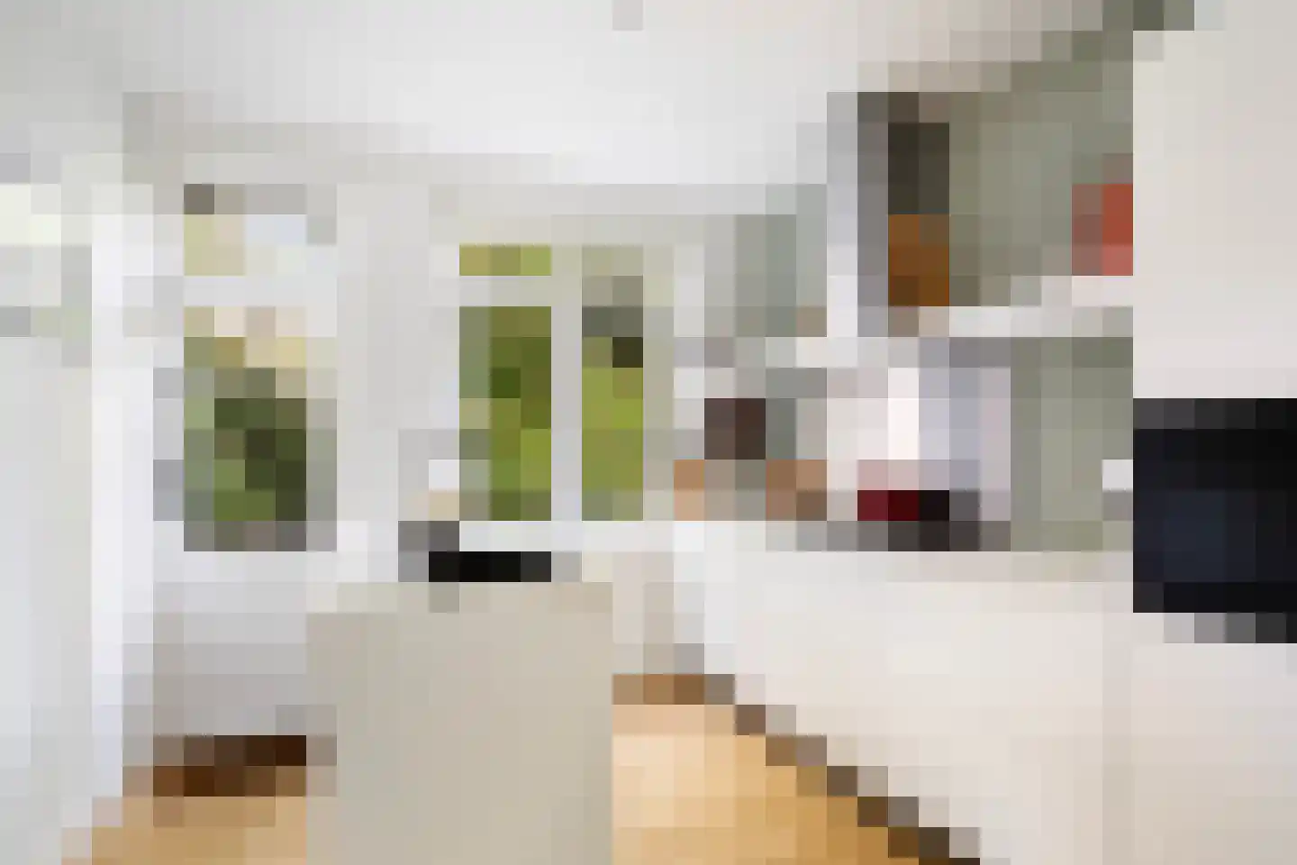 Kappeynestraat 4 D Rotterdam thumbnail 19