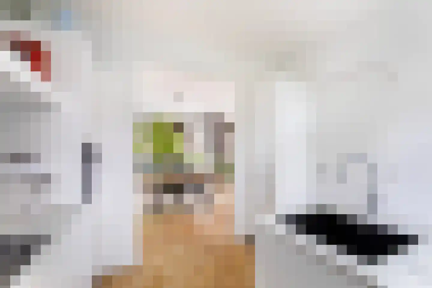 Kappeynestraat 4 D Rotterdam thumbnail 20