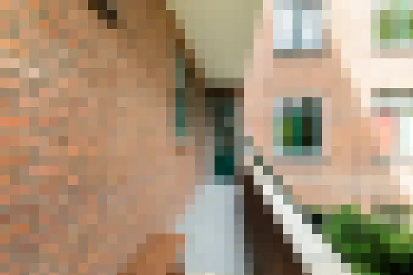 Kappeynestraat 4 D Rotterdam thumbnail 22
