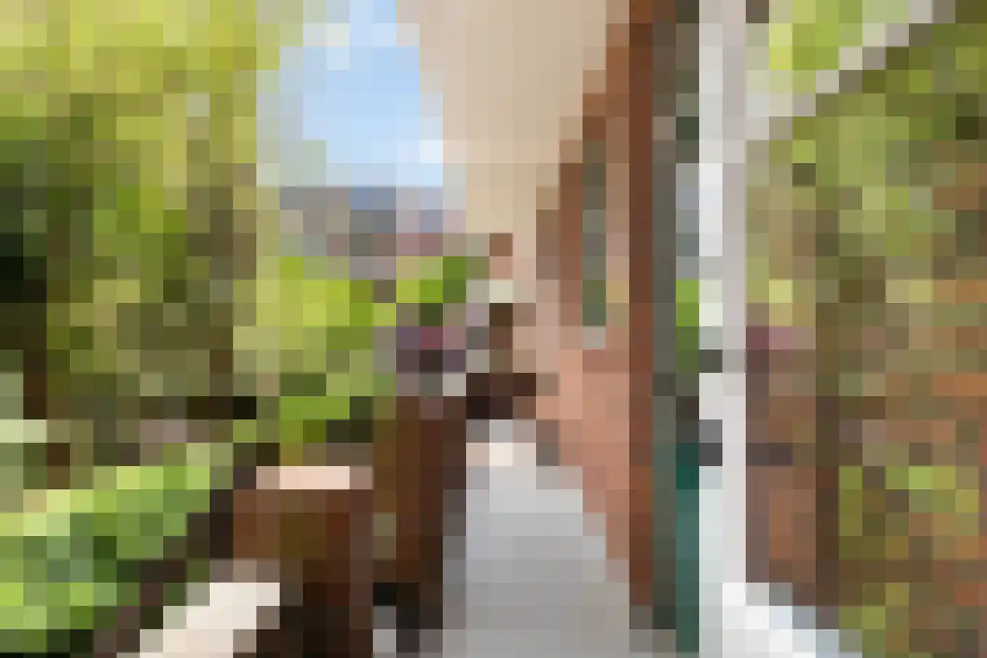 Kappeynestraat 4 D Rotterdam thumbnail 23