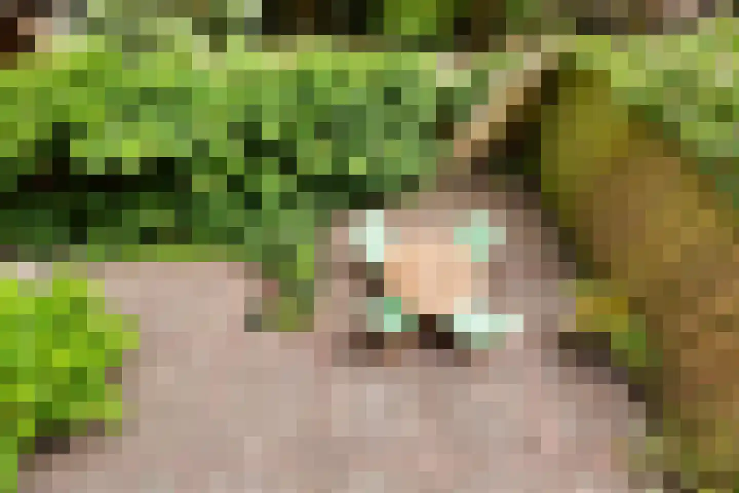 Kappeynestraat 4 D Rotterdam thumbnail 24