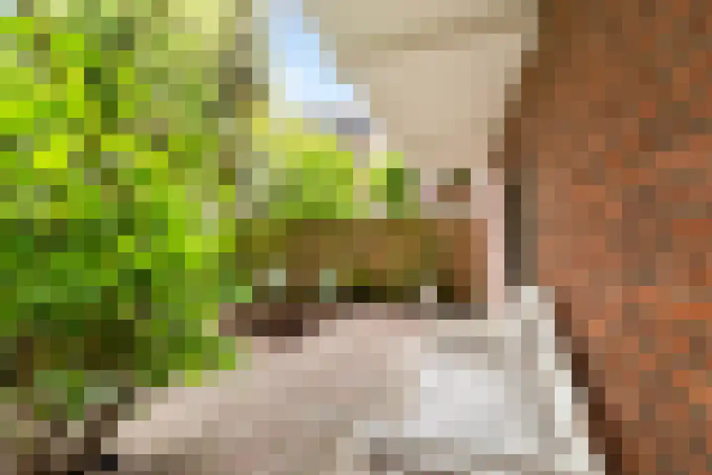 Kappeynestraat 4 D Rotterdam thumbnail 26