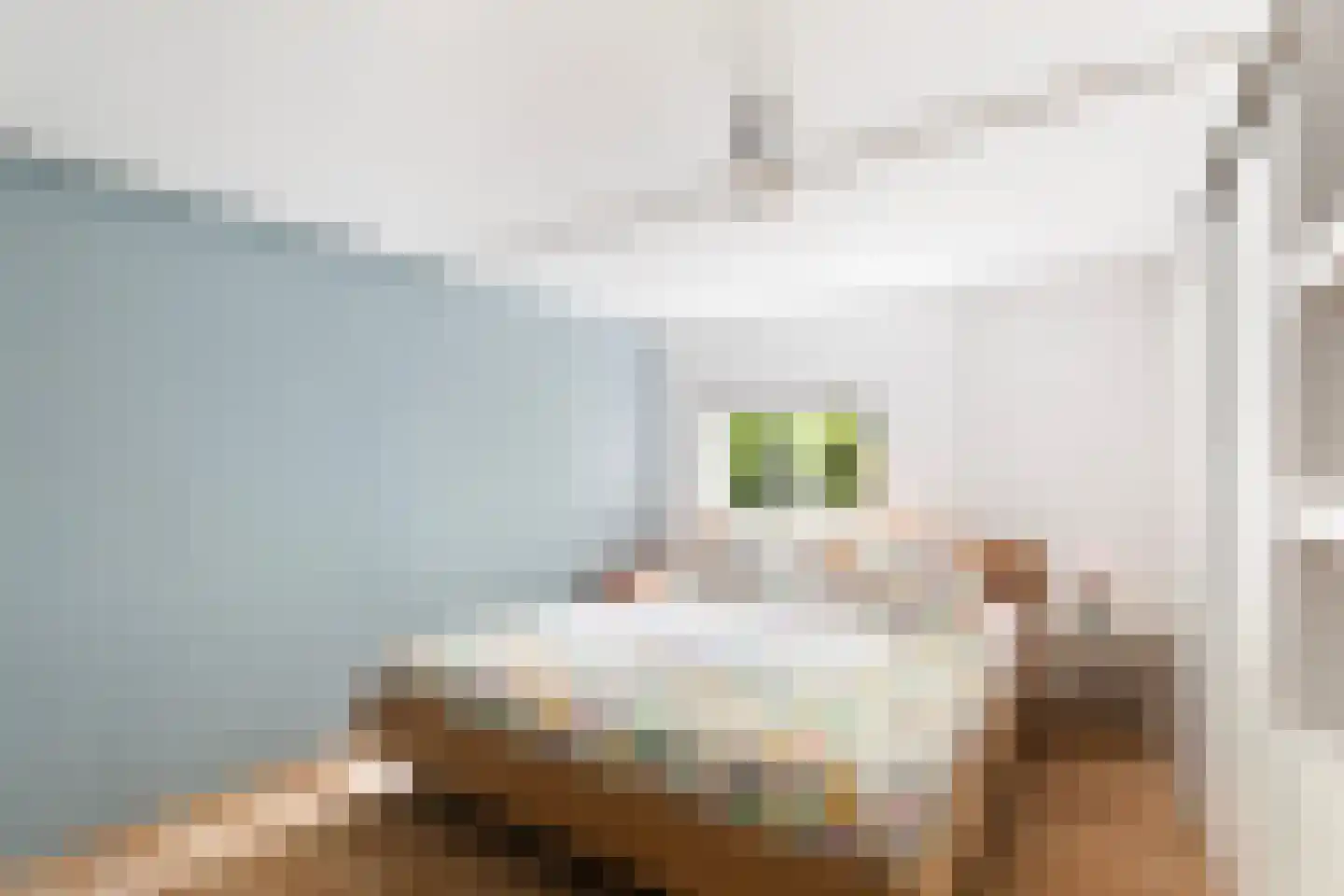 Kappeynestraat 4 D Rotterdam thumbnail 28