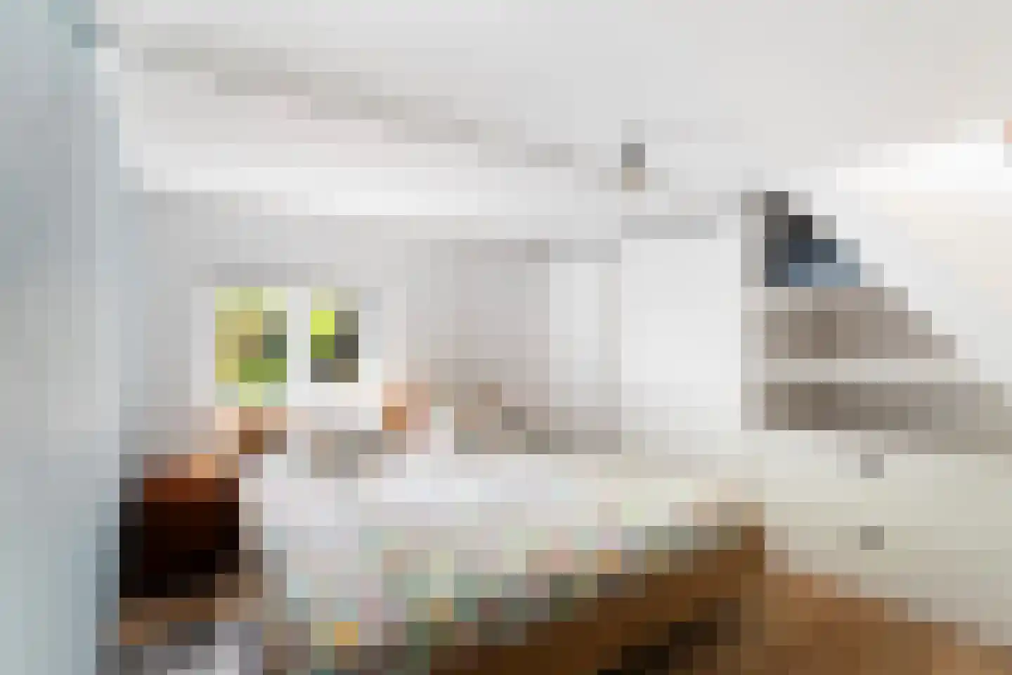 Kappeynestraat 4 D Rotterdam thumbnail 29