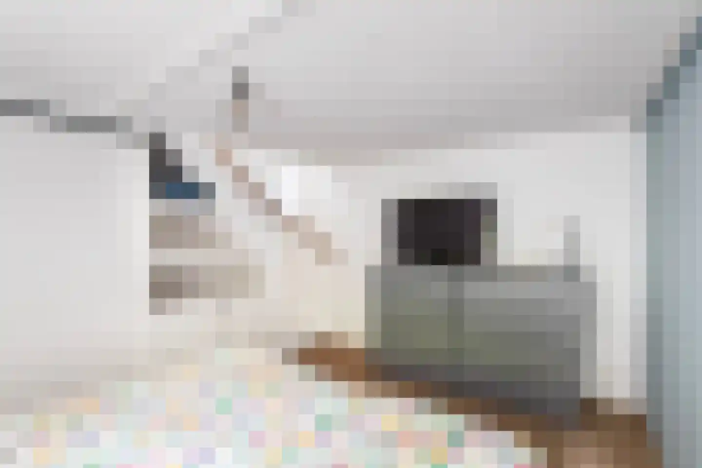 Kappeynestraat 4 D Rotterdam thumbnail 30