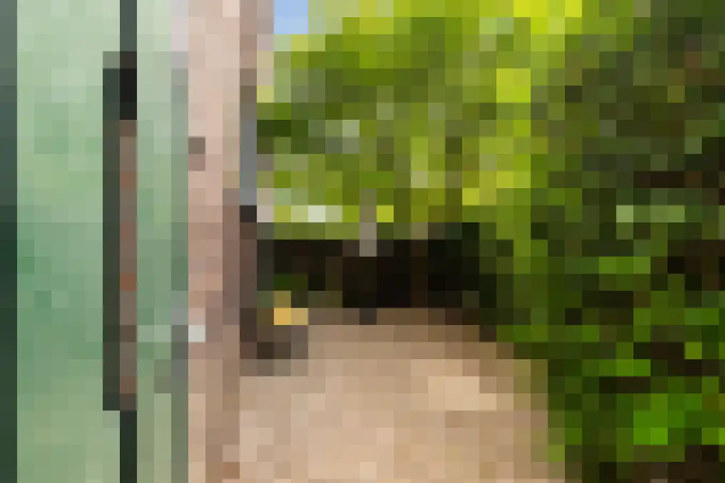Kappeynestraat 4 D Rotterdam thumbnail 38