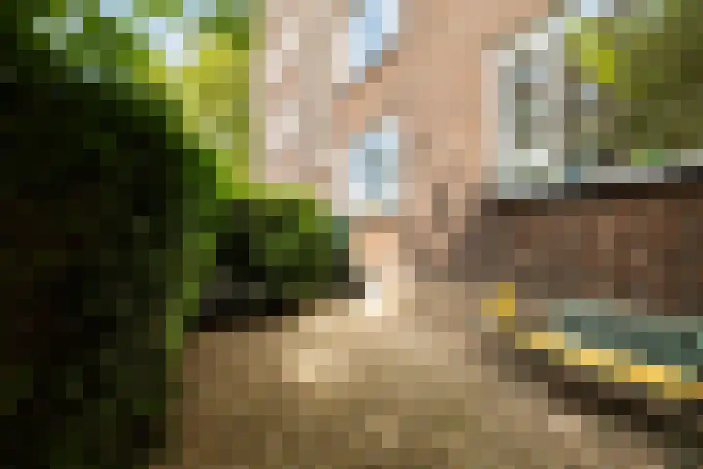 Kappeynestraat 4 D Rotterdam thumbnail 39