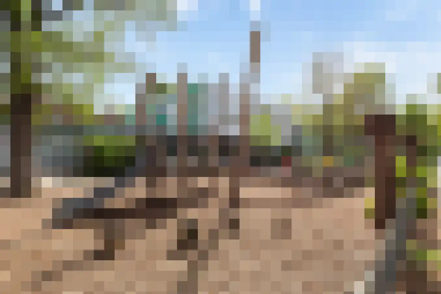 Kappeynestraat 4 D Rotterdam thumbnail 41