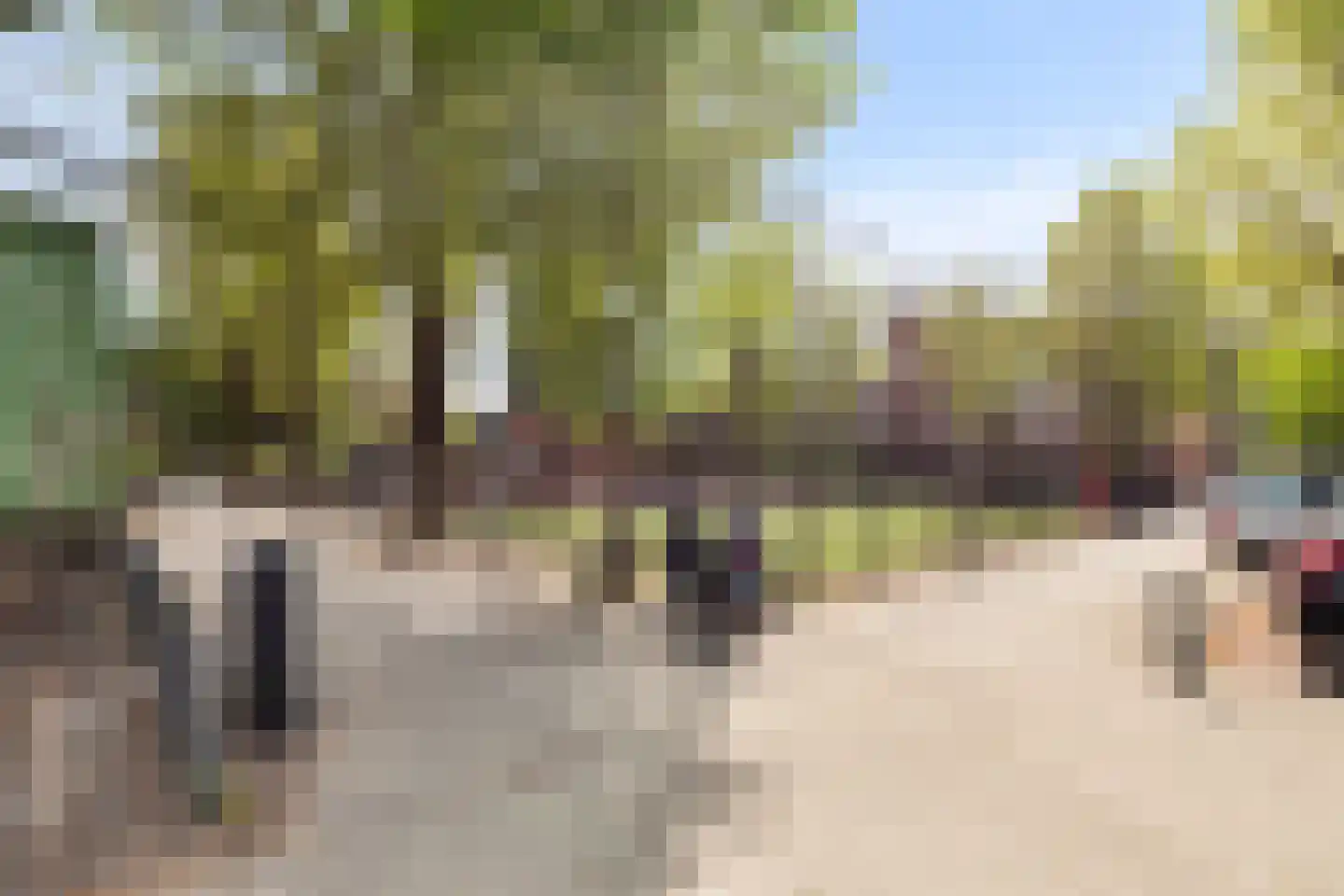 Kappeynestraat 4 D Rotterdam thumbnail 42
