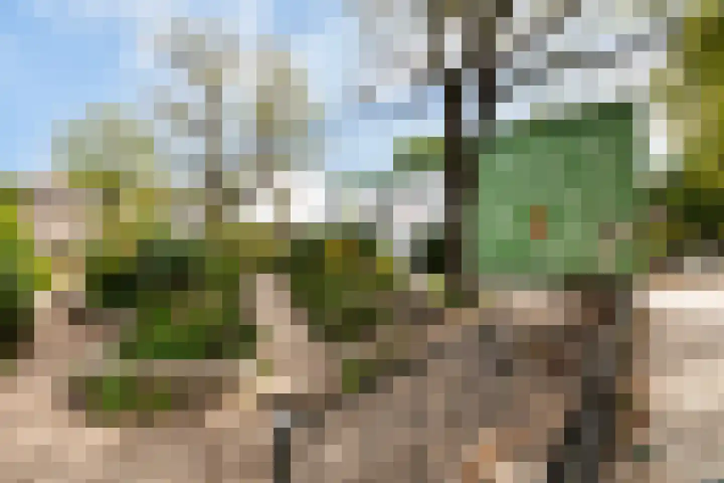 Kappeynestraat 4 D Rotterdam thumbnail 43