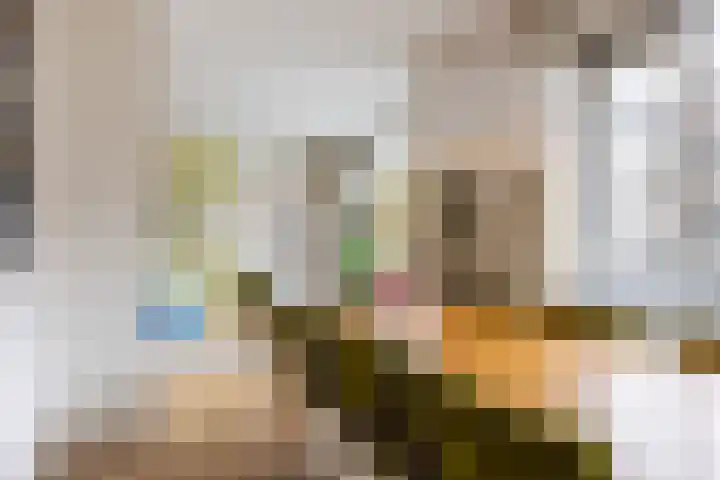 Kappeynestraat 8 D Rotterdam thumbnail 14